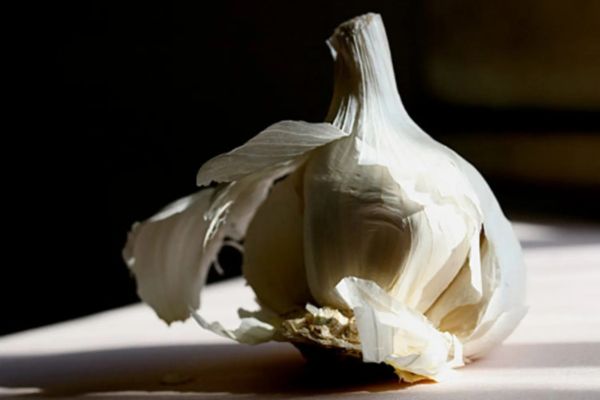 Natural ways to fight air pollution