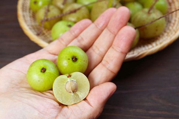 amla benefits for fertility