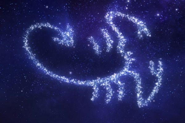 scorpio horoscope 16-22 feb 2026