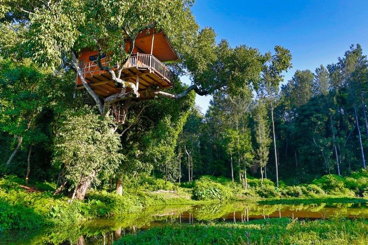 tree house resorts in India