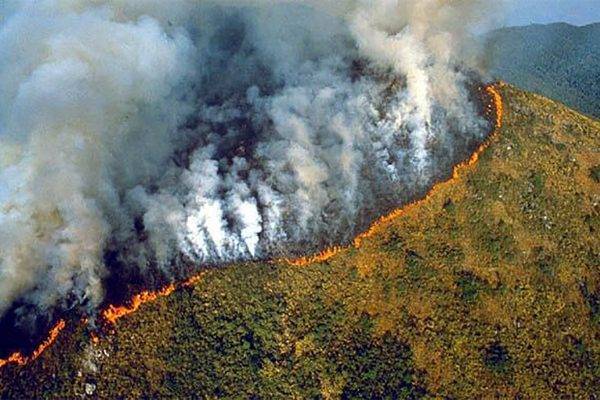 Amazon rainforest fire