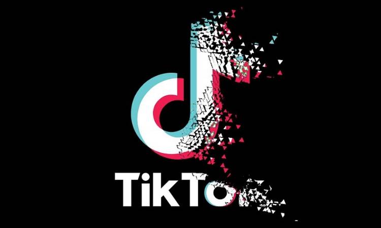 TikTok logo fading