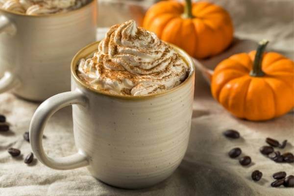 PSL Coffee with Cinnamon and Whipped Cream- Coffee Flavours