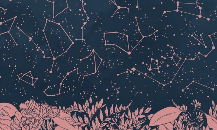 the weekly horoscope predictions
