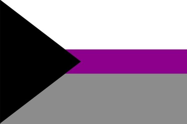 The demisexual flag 