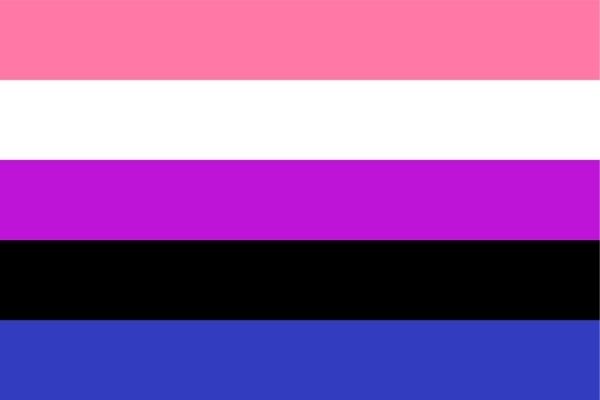 The genderfluid flag 