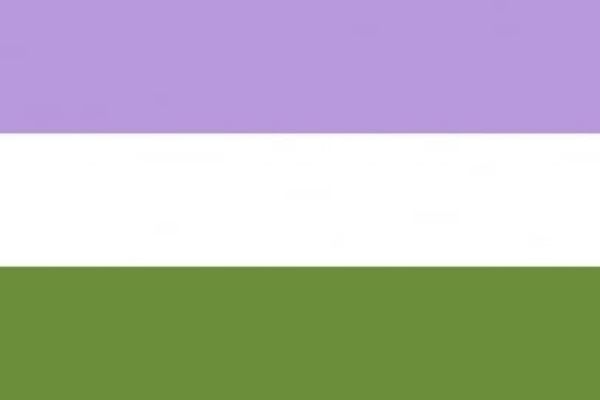 The genderqueer tricolour flag