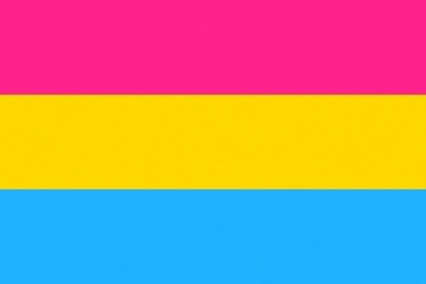 The pansexual pride flag