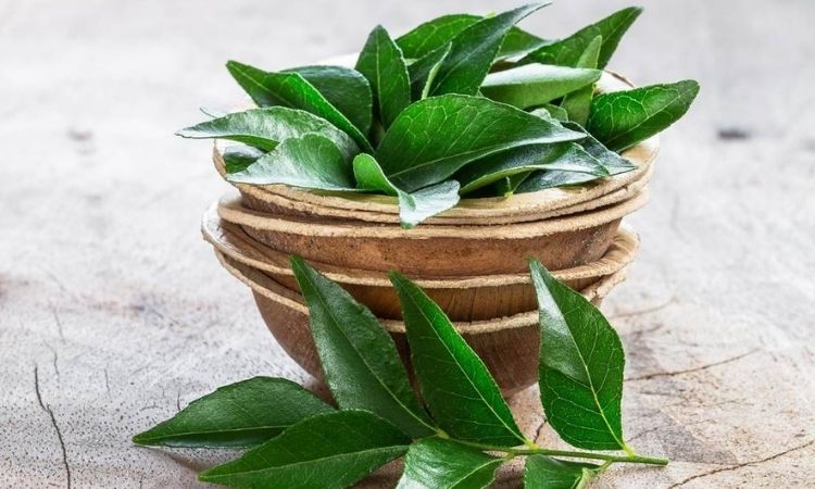 Benefits Of Curry Leaves: A bowl filled with fresh curry leaves kept on a wooden surface