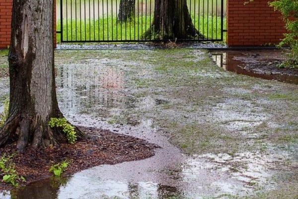 A waterlogged garden area. This is a breeding ground for mosquitoes