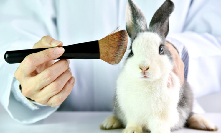 animal testing in beauty industry