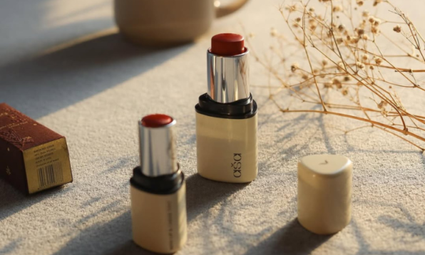 cruelty free makeup brands in india