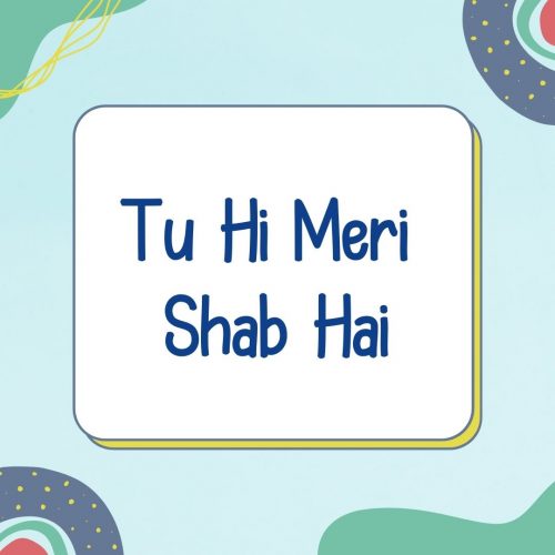 tu hi meri shaab hai