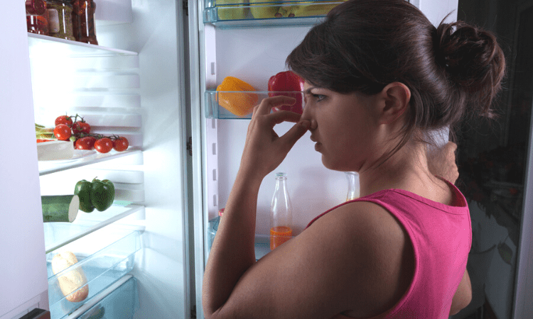 ways to gte rid of stale fridge smell