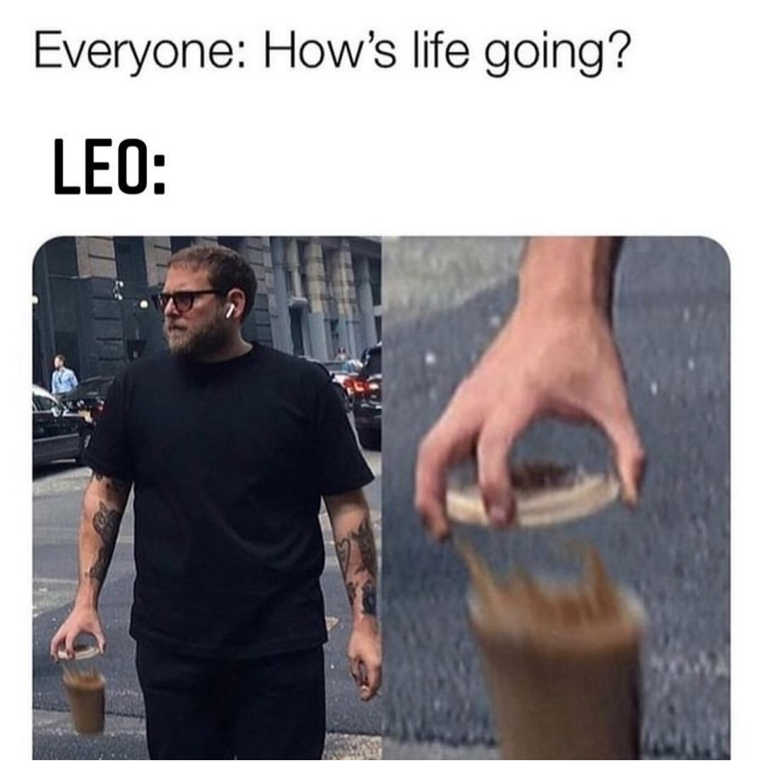 funny leo memes