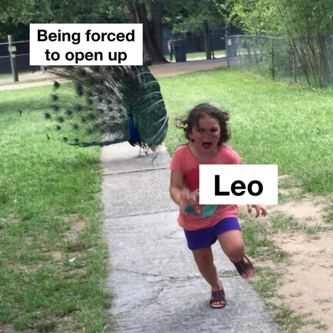 funny leo memes