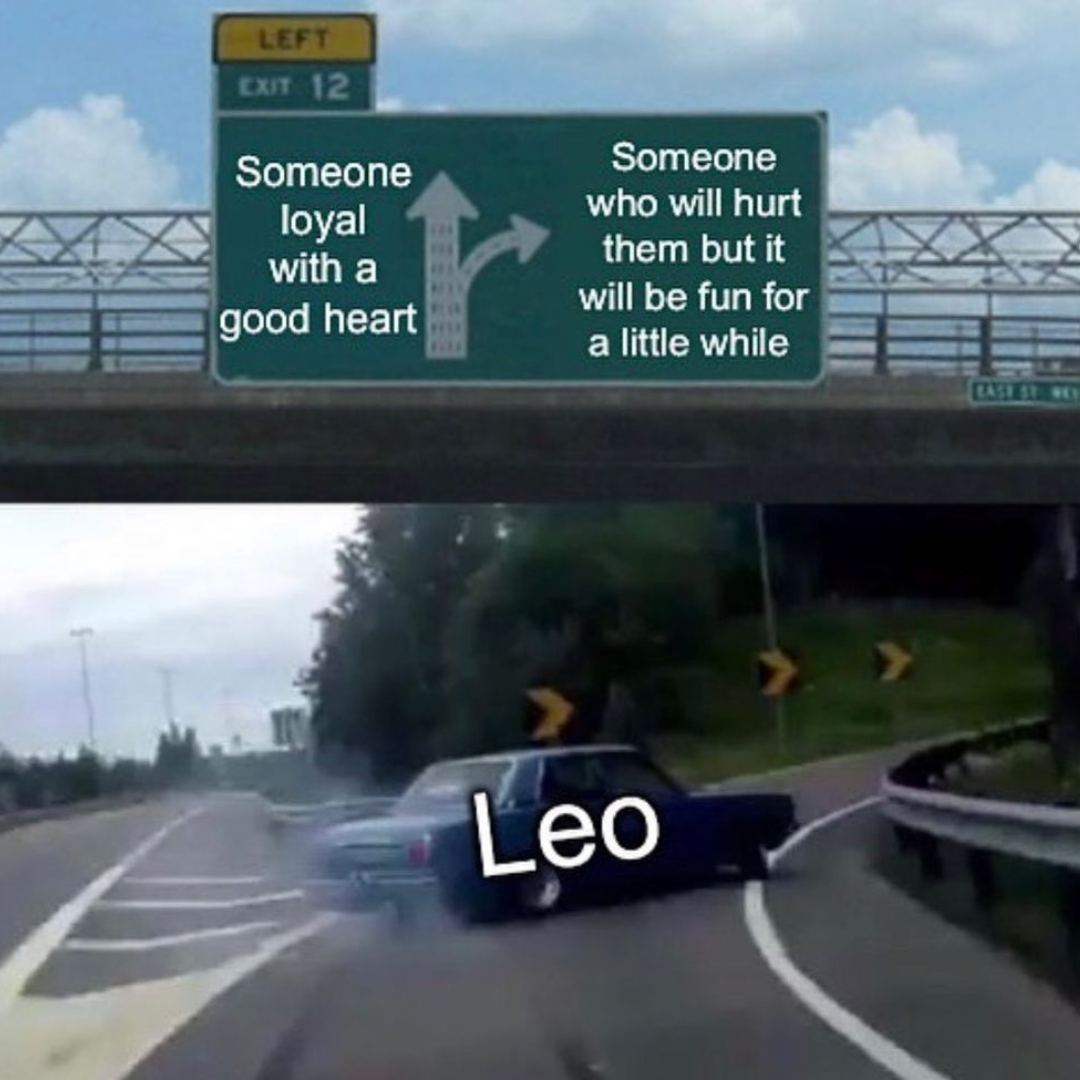 funny leo memes