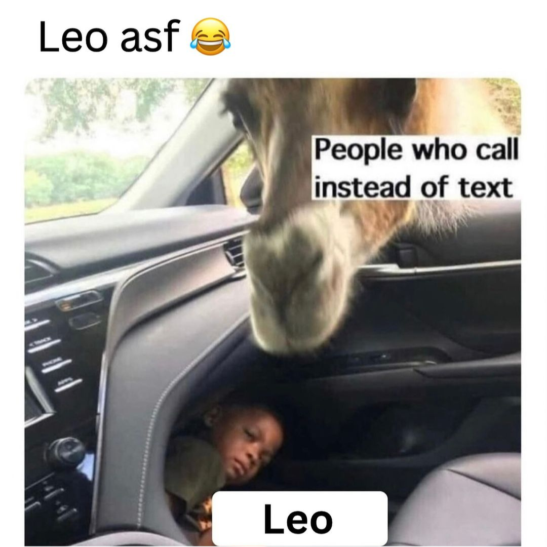 relatable leo memes