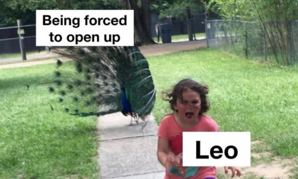 Funny Leo Memes That Define This Zodiac's Diva Personality