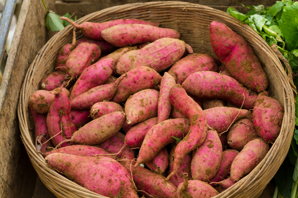 sweet potatoes