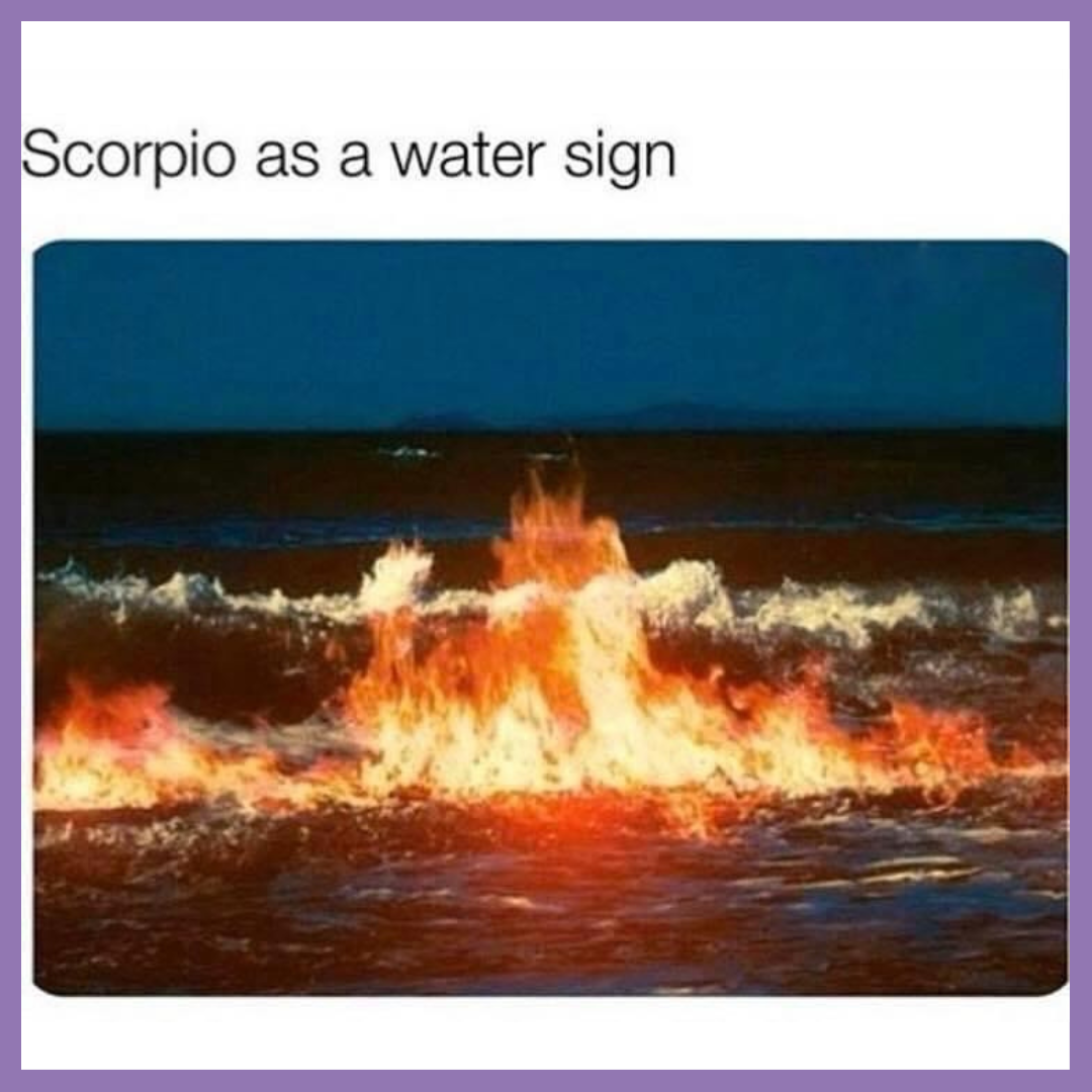 funny Scorpio memes