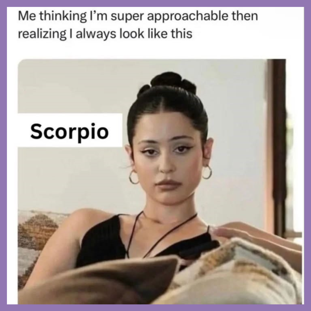 funny Scorpio memes