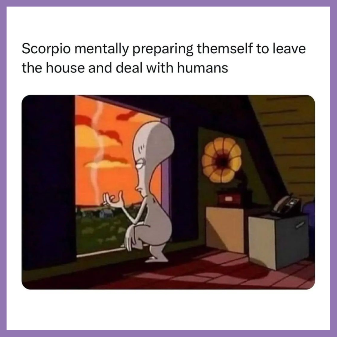 funny scorpio memes