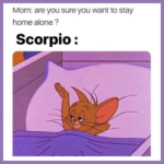 funny scorpio memes