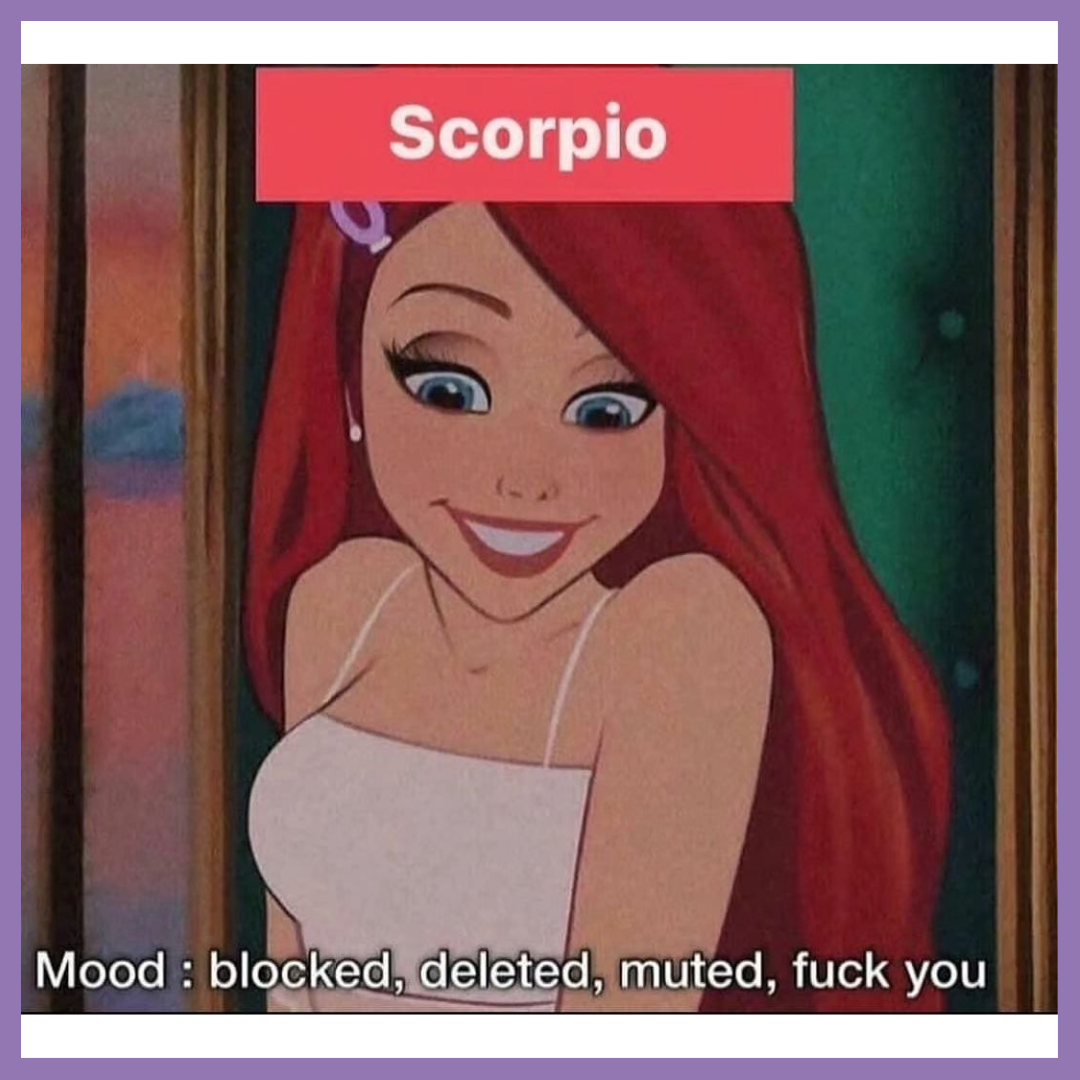 funny memes on scorpio