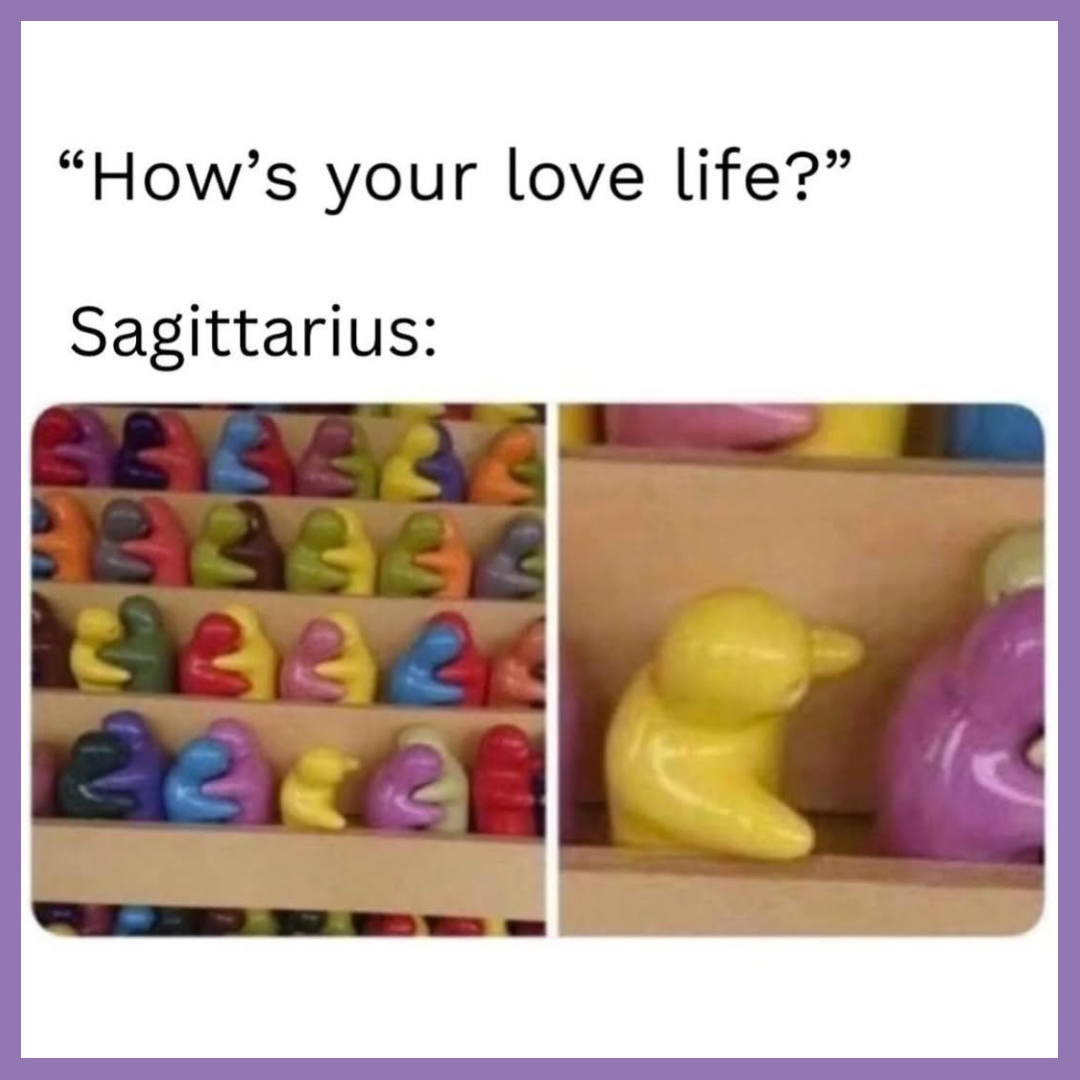 funny sagittarius zodiac memes 