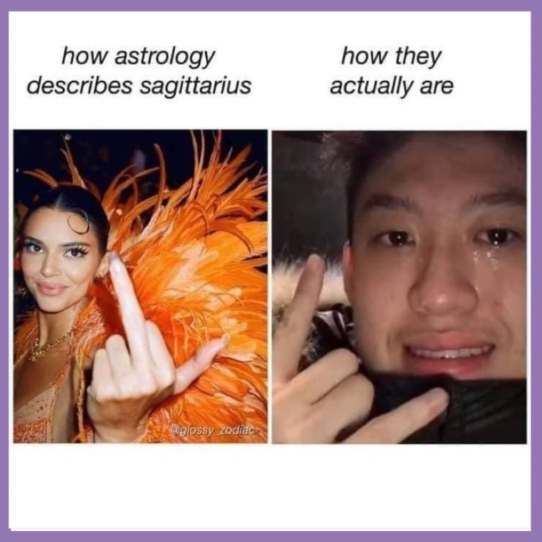 funny sagittarius zodiac memes 