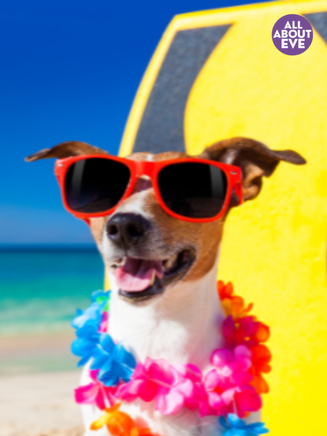 12 Pet-Friendly Stays In Goa For Your Furry Friend