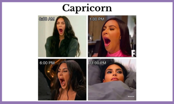 funny capricorn zodiac memes