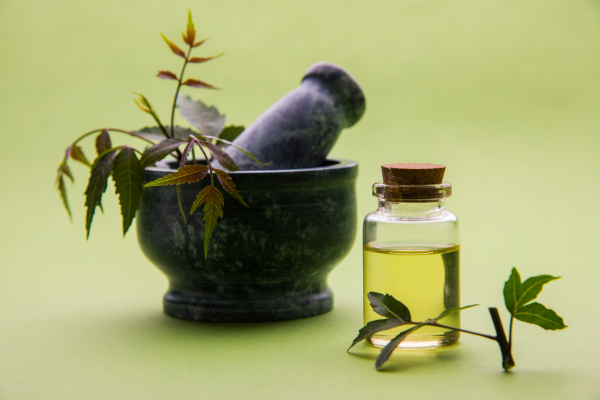 best ayurvedic hair oil