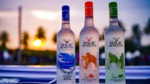 best vodka brands india