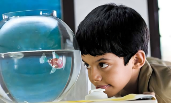 vastu for water elements at home