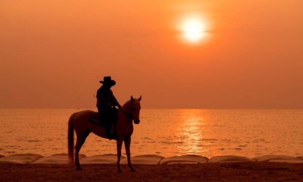 akshaye khanna dhurandhar