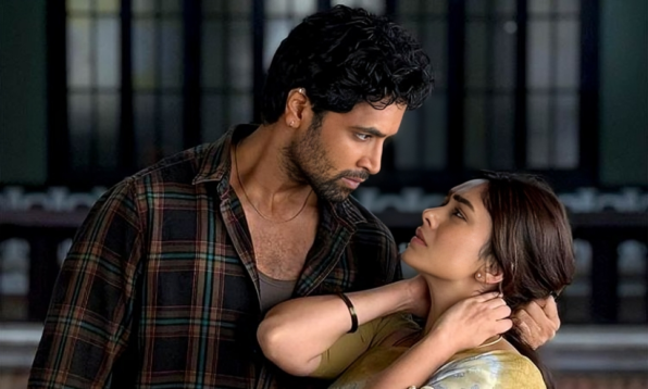 causes of domestic violence india