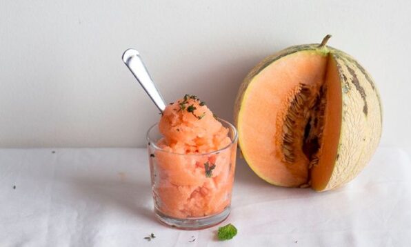 musk melon recipes